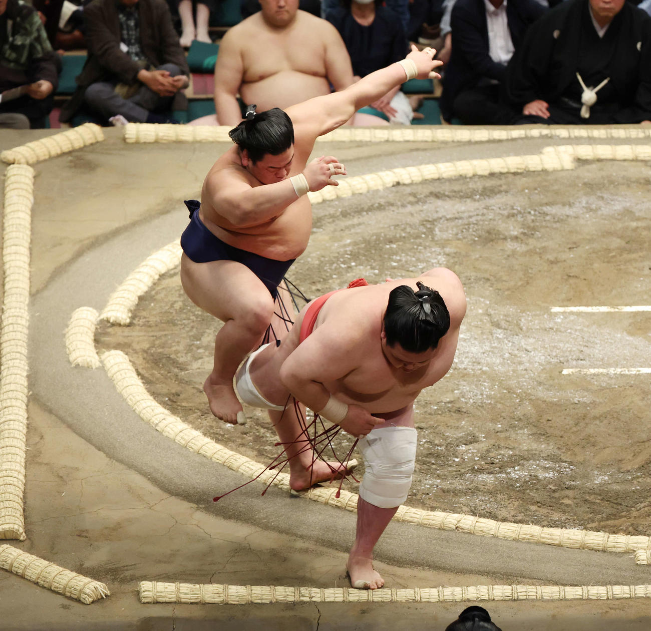 突き落としで阿武咲（右）を破る平戸海（撮影・宮地輝）