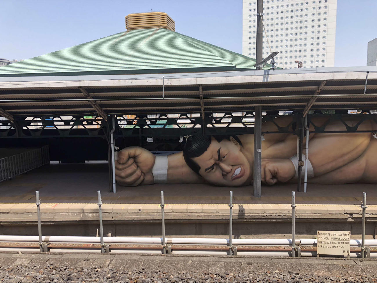 JR両国駅3番ホームに設置された全長約25メートル、高さ約2・8メートルの「ジャイアント猿桜像」（撮影・平山連）