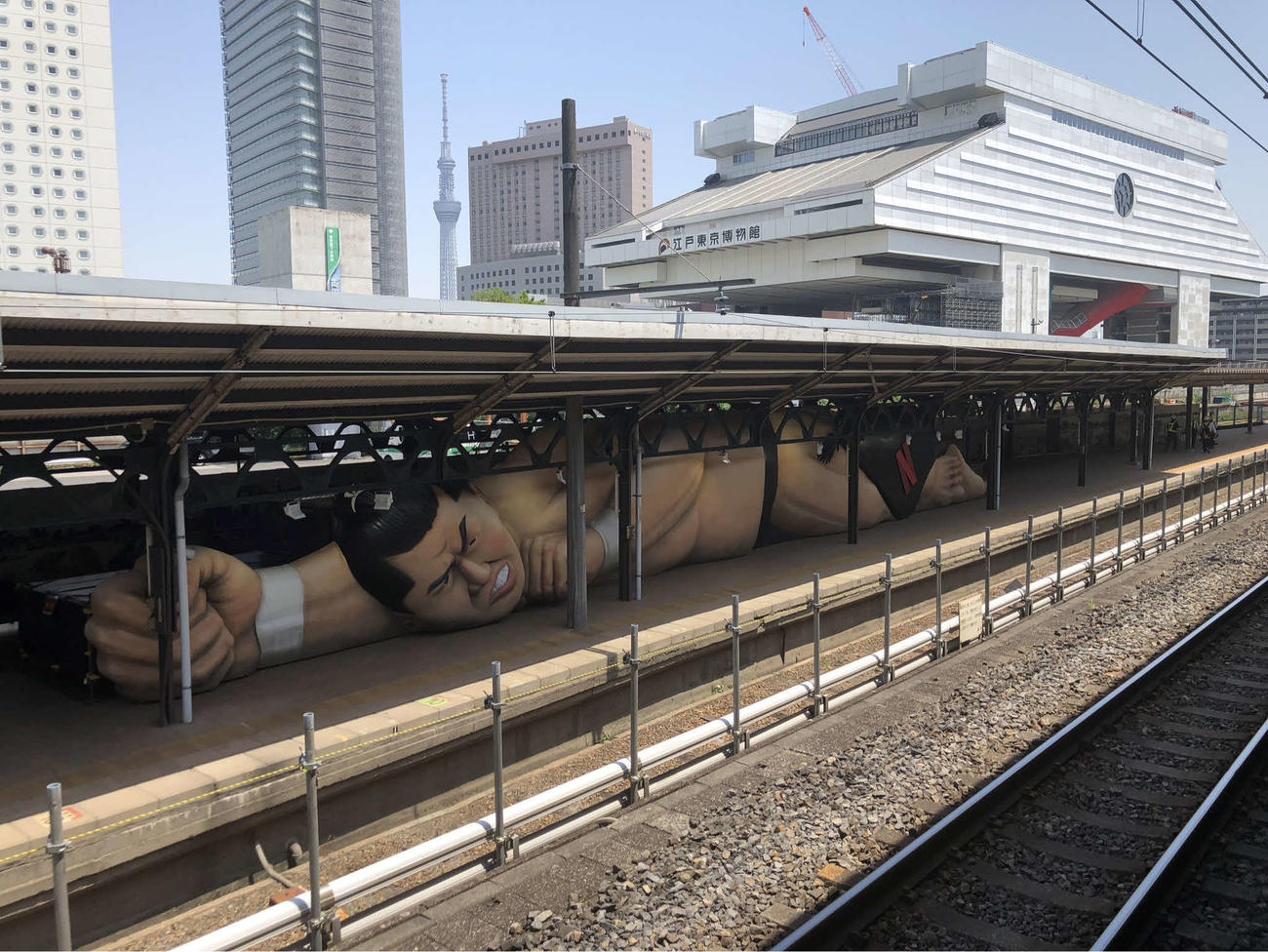 JR両国駅3番ホームに設置された全長約25メートル、高さ約2・8メートルの「ジャイアント猿桜像」（撮影・平山連）