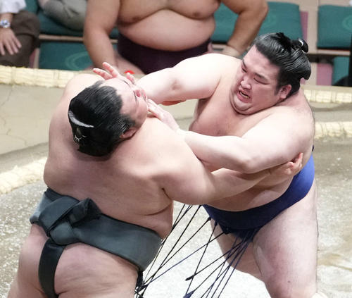 若乃花の目】浮き彫りになった相撲界の課題は？ 独自目線で選ぶ三賞は