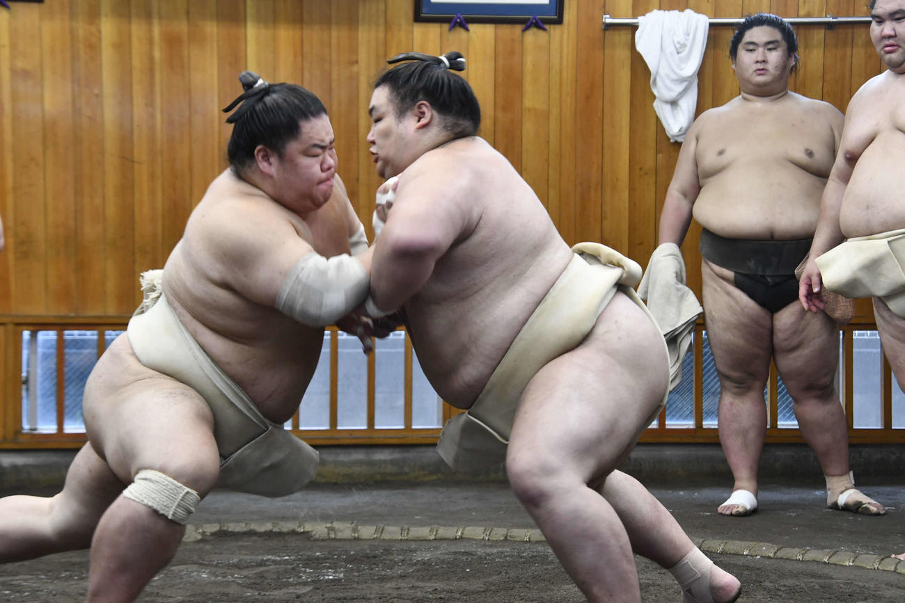 相撲を取る大栄翔（左）と大翔鵬（撮影・平山連）