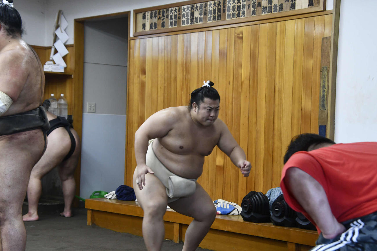 基礎運動を行う翔猿（撮影・平山連）