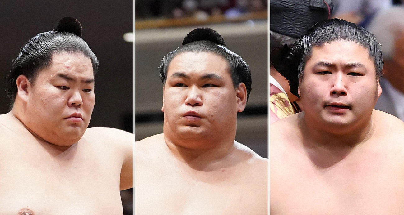 名古屋場所で大関とりを目指す、左から大栄翔、豊昇龍、若元春