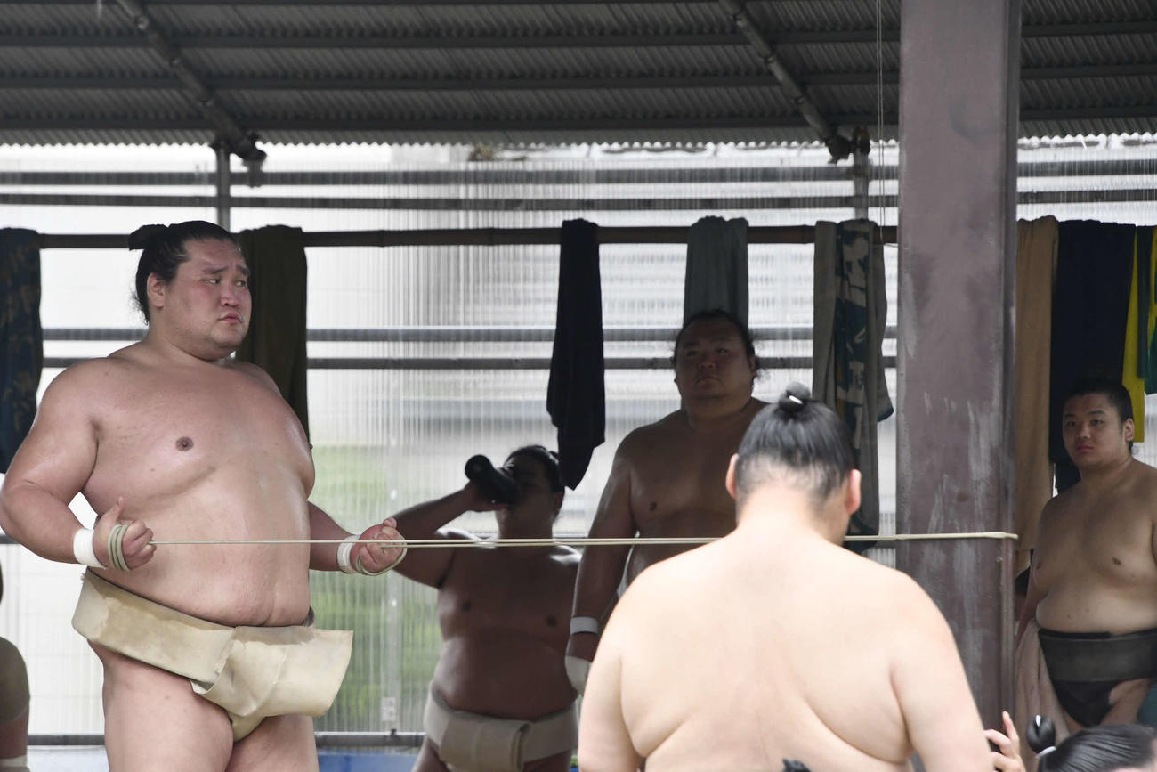 名古屋場所に向けて調整に励む横綱照ノ富士（左）（撮影・平山連）