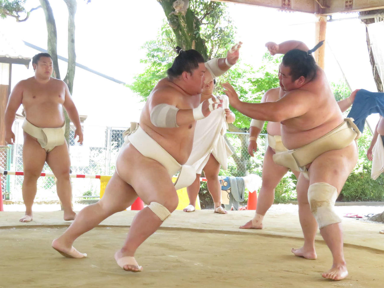 申し合いで大奄美（手前右）を激しく攻める大栄翔（同左）。左端は翔猿