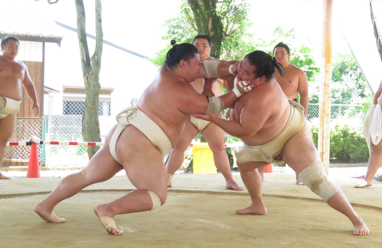 申し合いで大奄美（手前右）を激しく攻める大栄翔（同左）。左端は翔猿