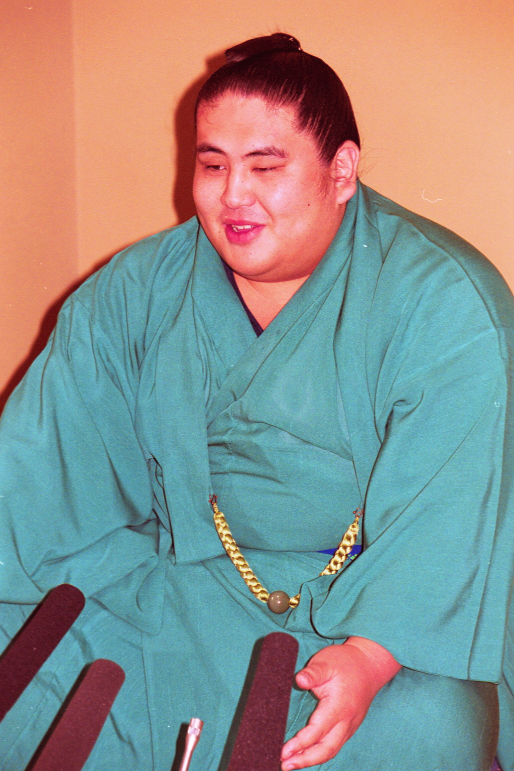 雅山（2000年5月22日撮影）