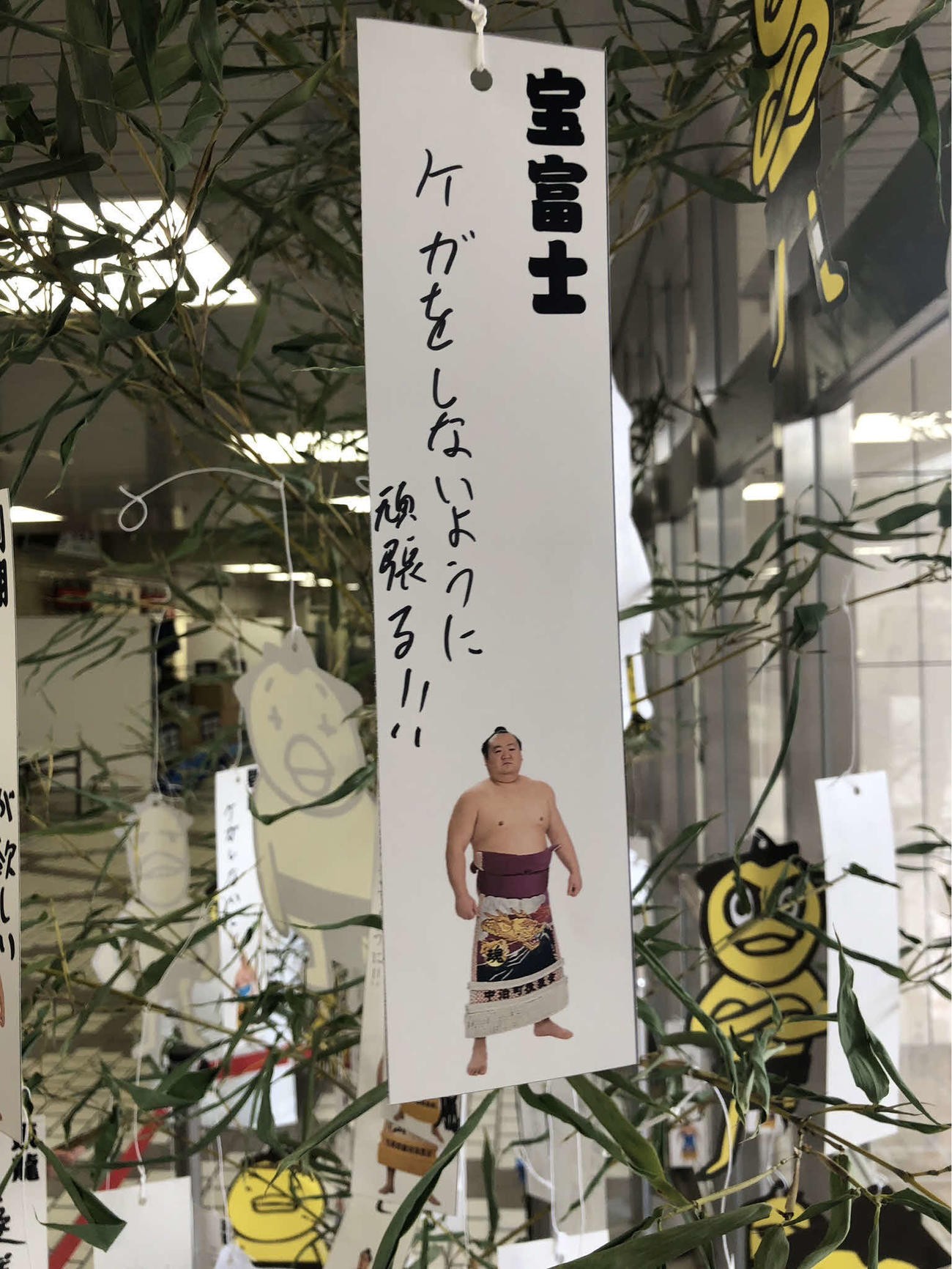 宝富士は短冊に「ケガをしないように頑張る！！」と願い事を書いた（撮影・平山連）