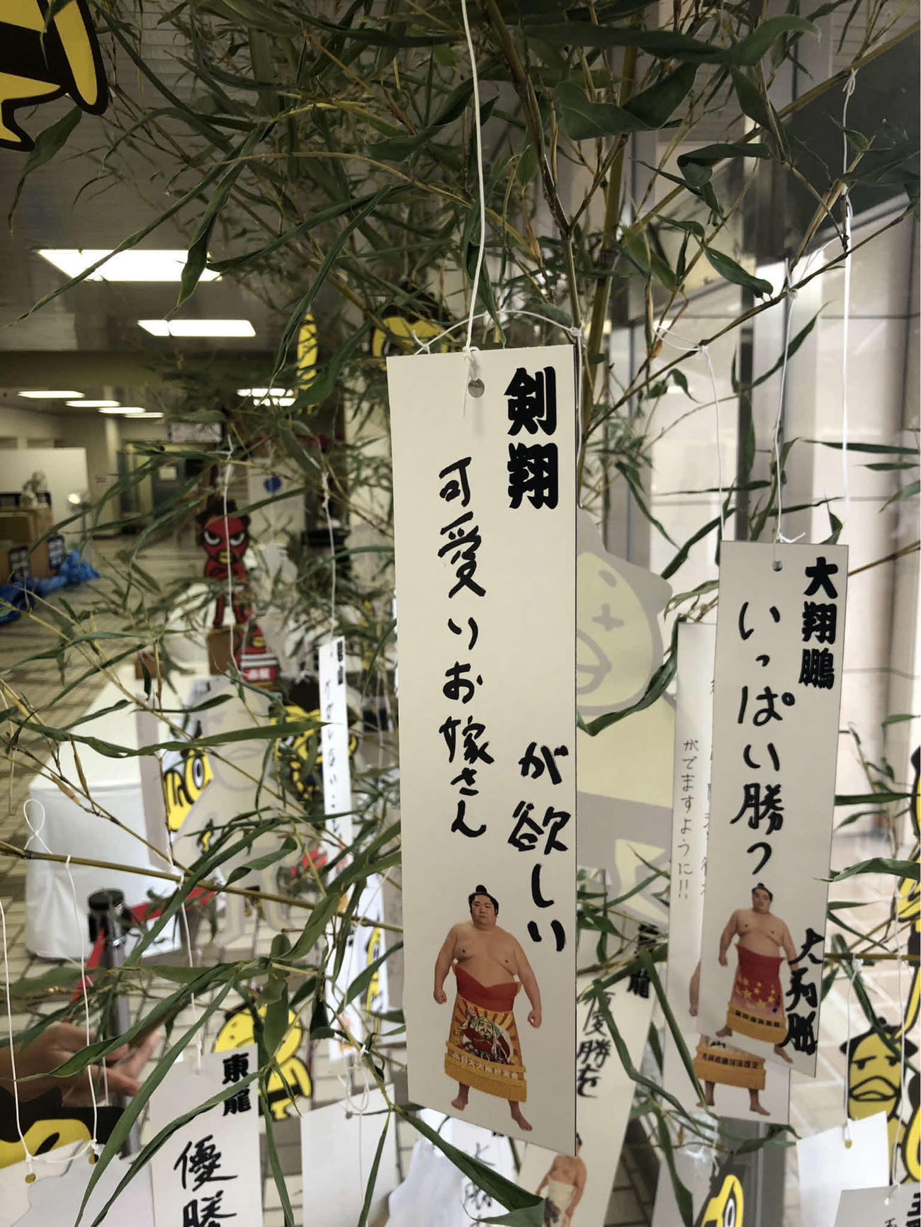 剣翔は短冊に「可愛いお嫁さんが欲しい」と願い事を書き、大翔鵬は「いっぱい勝つ」と書いた（撮影・平山連）