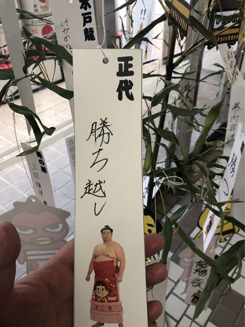 正代は短冊に「勝ち越し」と願い事を書いた（撮影・平山連）