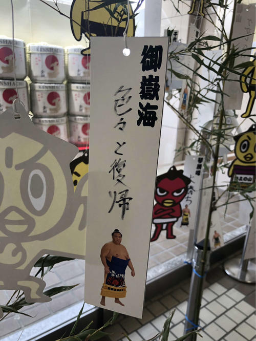 御嶽海は短冊に「色々と復帰」と願い事を書いた（撮影・平山連）