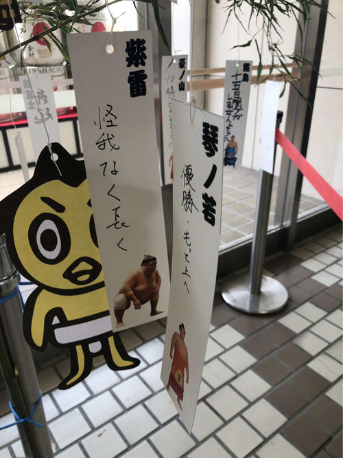 琴ノ若は短冊に「優勝・もっと上へ」と願い事を書き、紫雷は「怪我なく長く」と書いた（撮影・平山連）