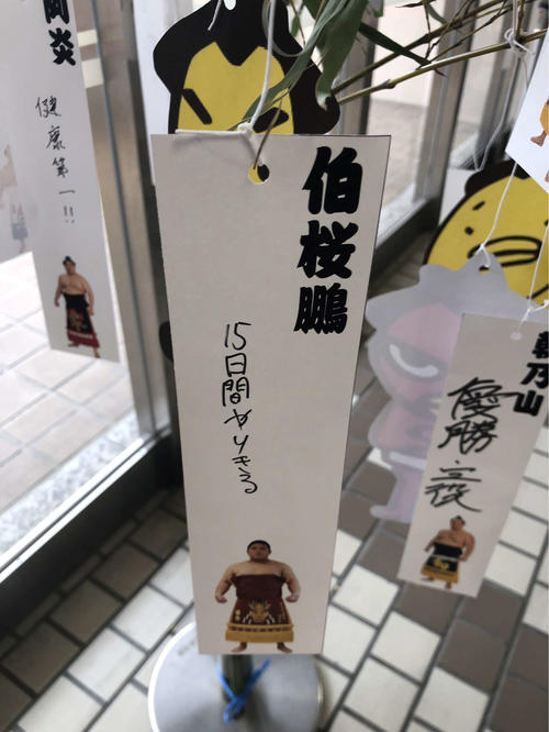伯桜鵬は短冊に「15日間やりきる」と願い事を書いた（撮影・平山連）