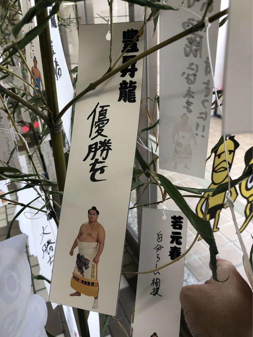 豊昇龍は短冊に「優勝を」と願い事を書いた（撮影・平山連）