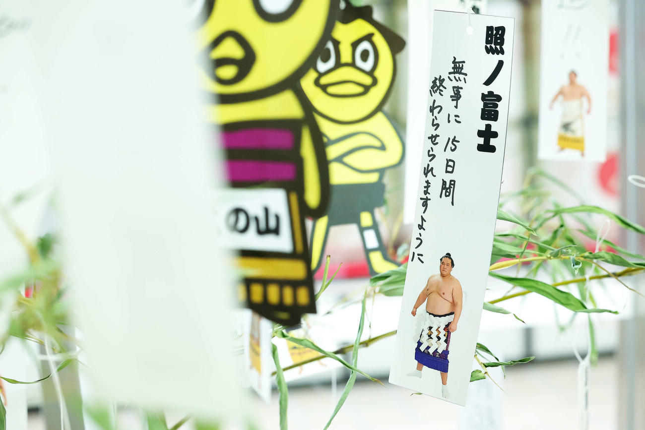 七夕の笹に飾られる照ノ富士の短冊（撮影・河田真司）