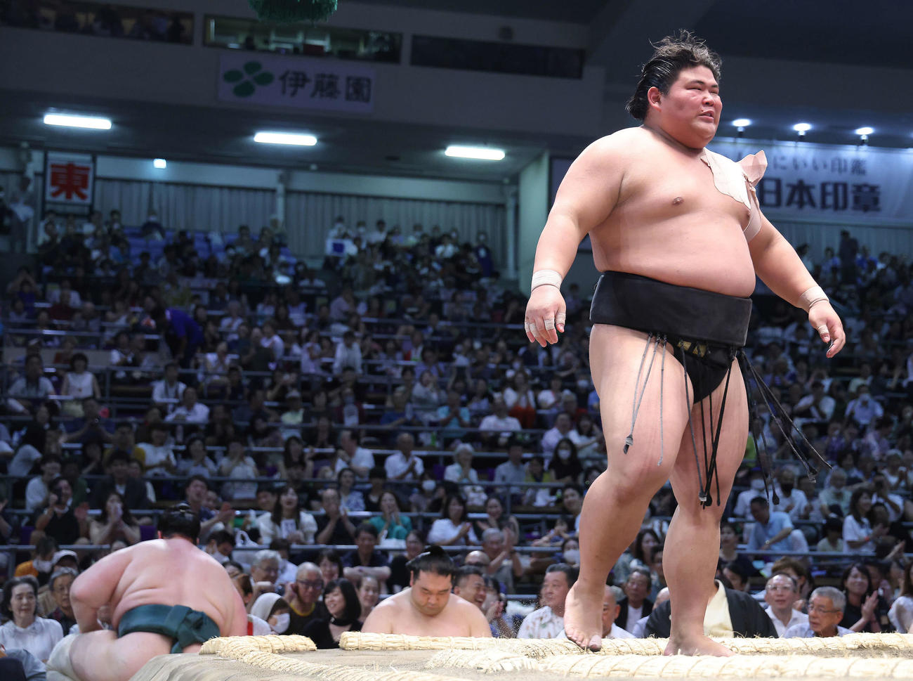 碧山（左下）を寄り切りで破る伯桜鵬（撮影・河田真司）