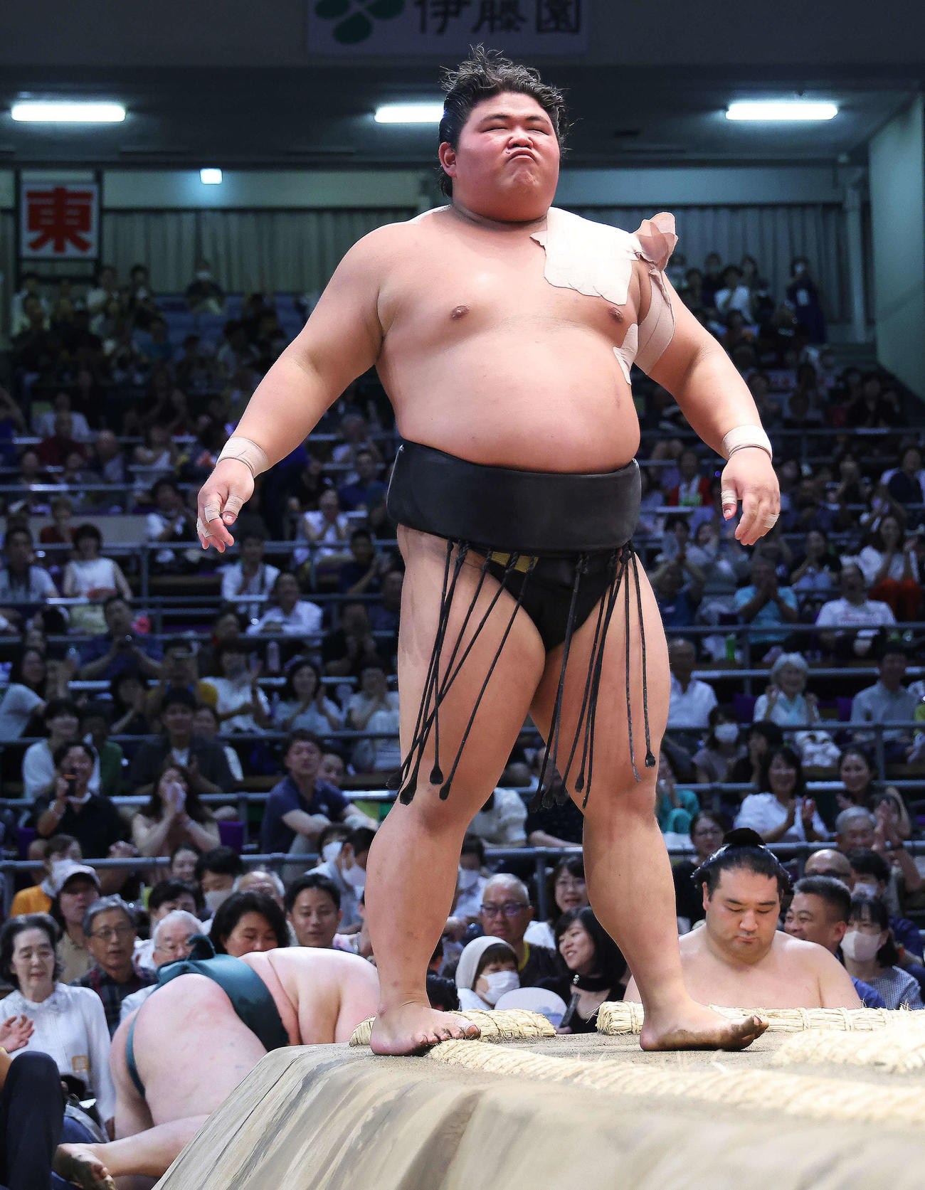 碧山（左下）を寄り切りで破る伯桜鵬（撮影・河田真司）