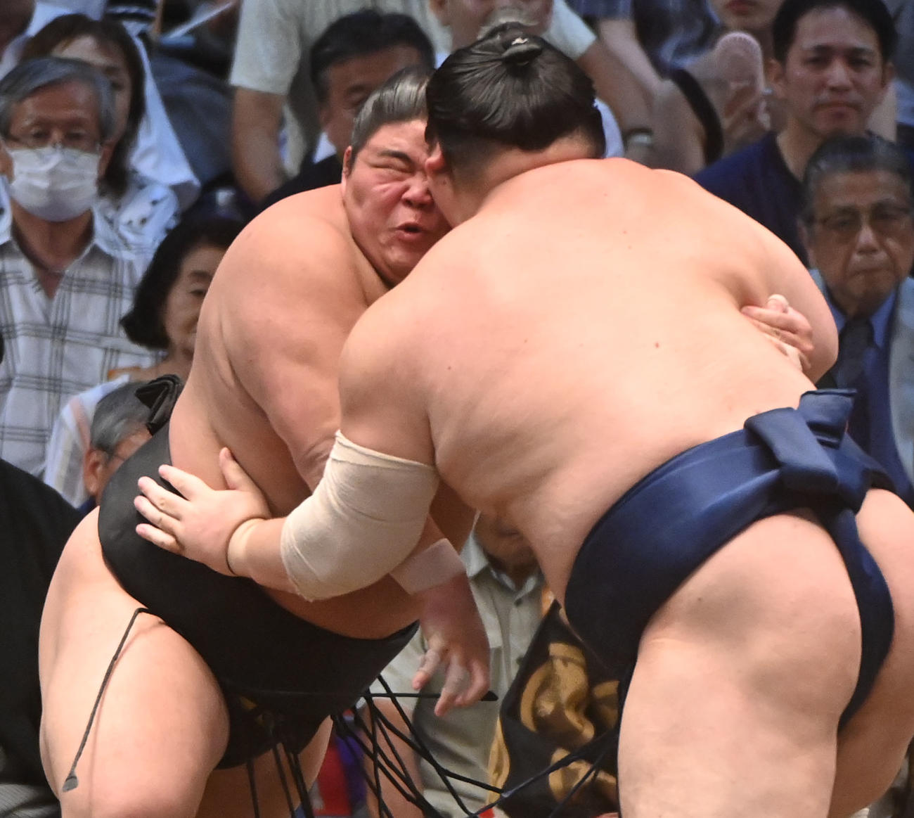宝富士と激しくぶつかる伯桜鵬（左）（撮影・森本幸一）
