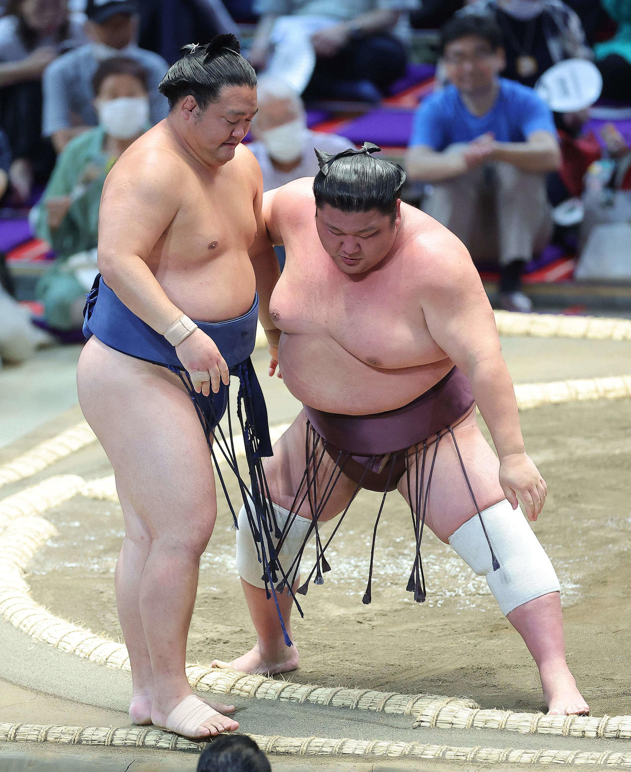 千代の海（左）を寄り切りで破る紫雷（撮影・河田真司）