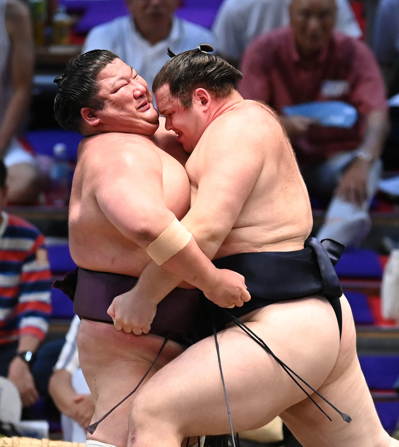 紫電に力強い寄りで攻め込む獅司（右）（撮影・森本幸一）