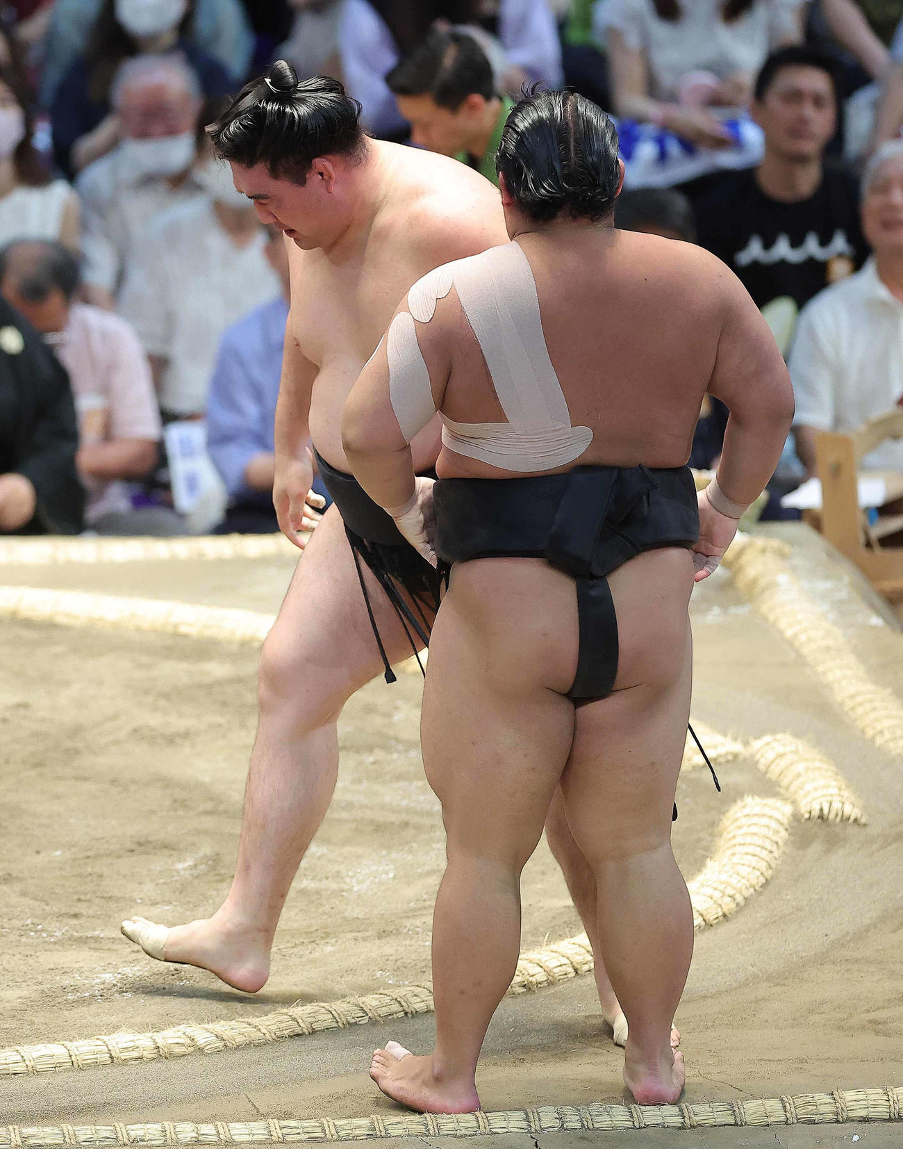 伯桜鵬（手前）を寄り切りで破る竜電（撮影・河田真司）