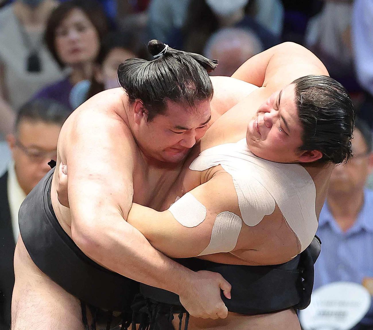 竜電（左）に土俵際に追い込まれる伯桜鵬（撮影・河田真司）