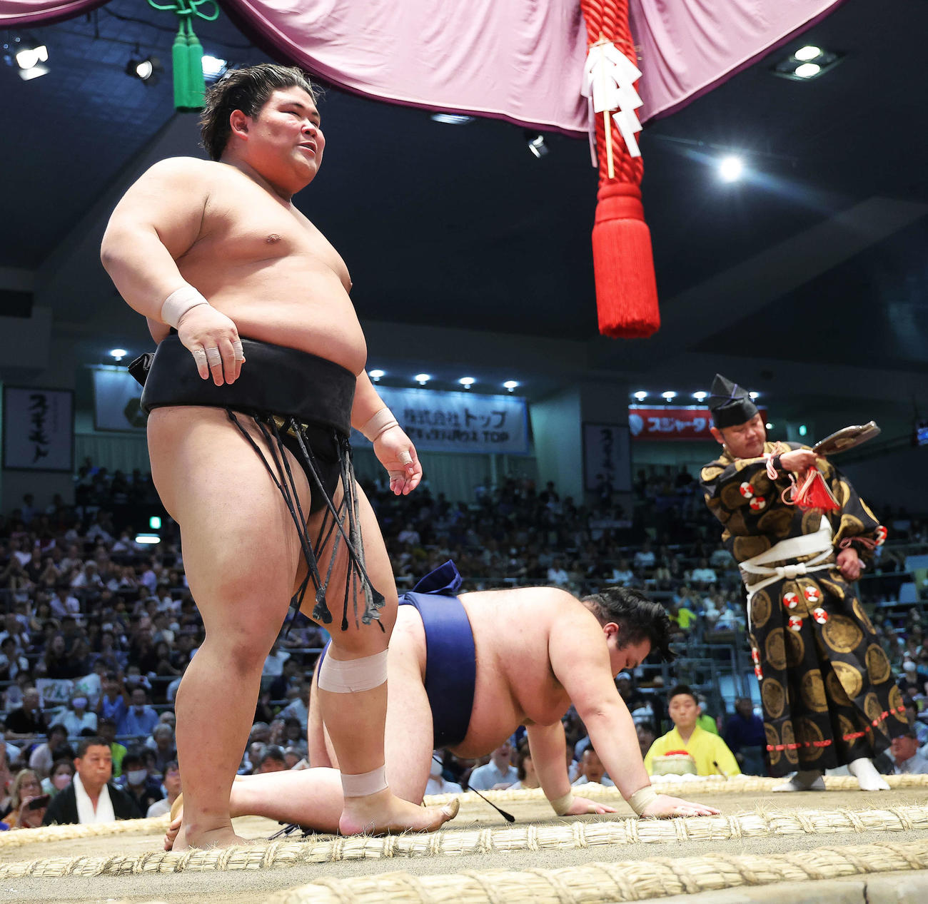 豪ノ山（奥）をはたき込みで破る伯桜鵬（撮影・河田真司）