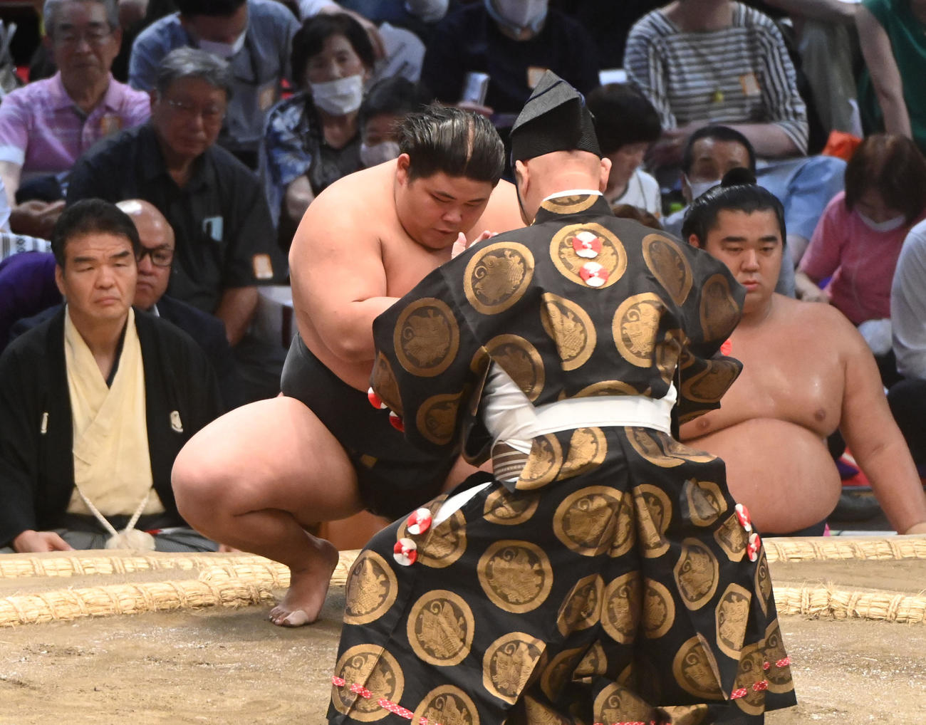 豪ノ山をはたき込みで破り勝ち名乗りを受ける伯桜鵬（撮影・森本幸一）