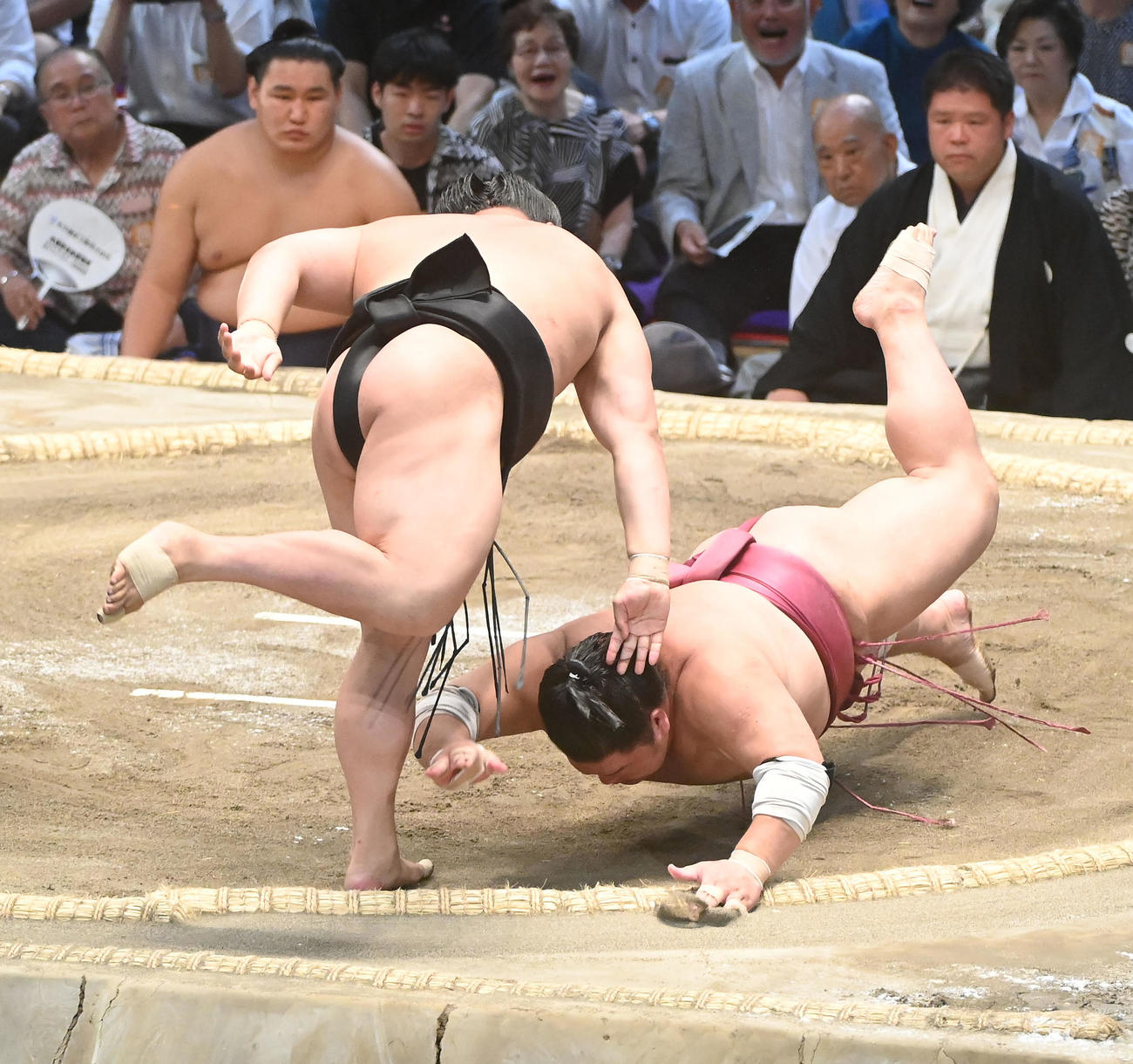 若元春（左）は大栄翔をはたき込みで破る（撮影・森本幸一）