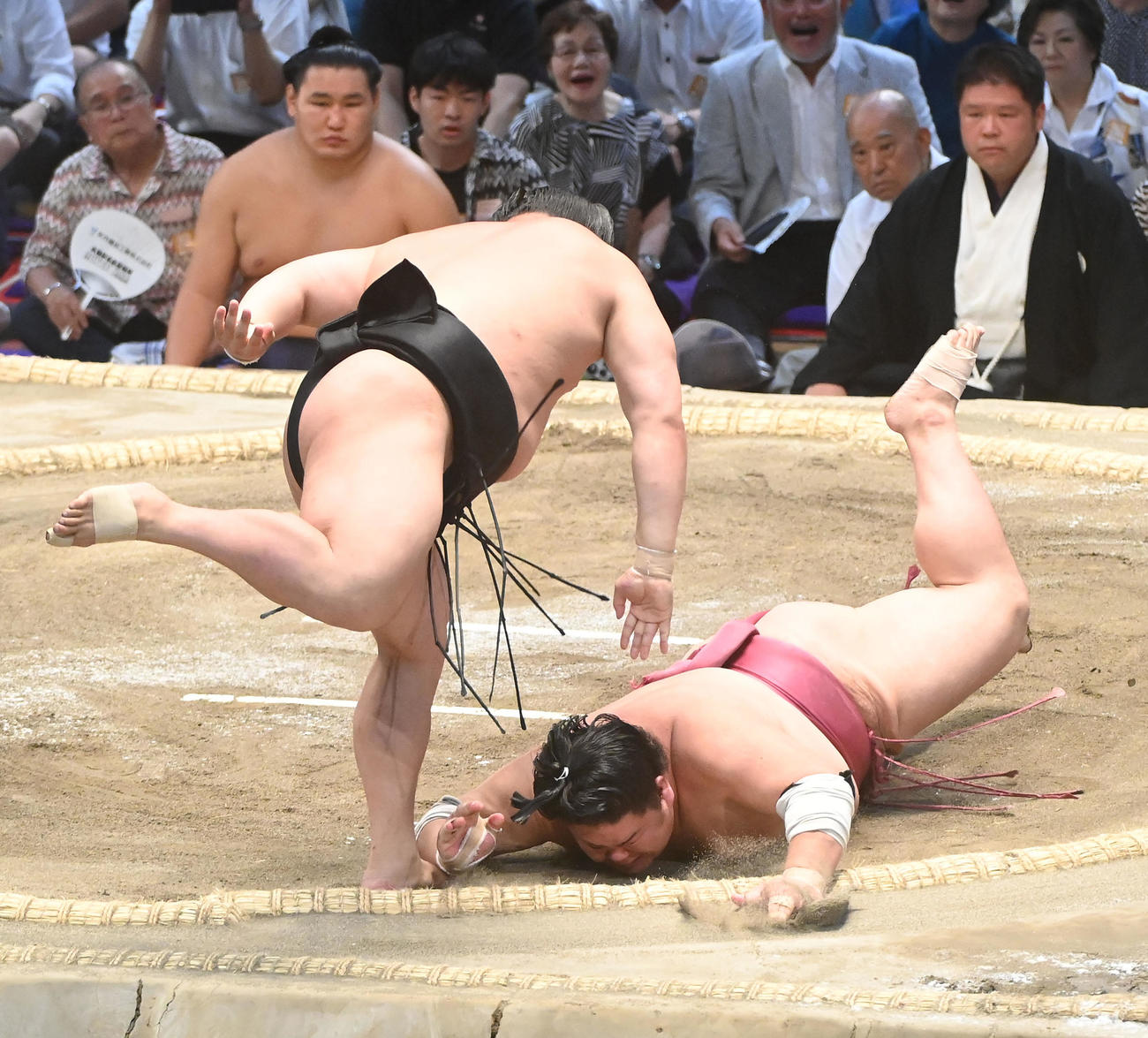 若元春（左）は大栄翔をはたき込みで破る（撮影・森本幸一）