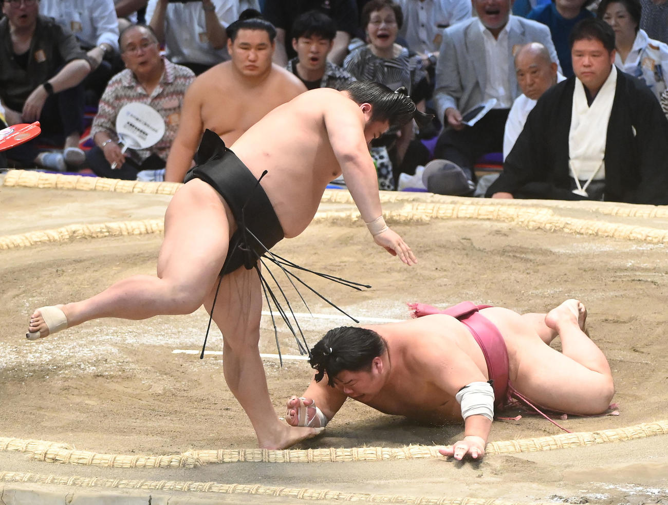 若元春（左）は大栄翔をはたき込みで破る（撮影・森本幸一）