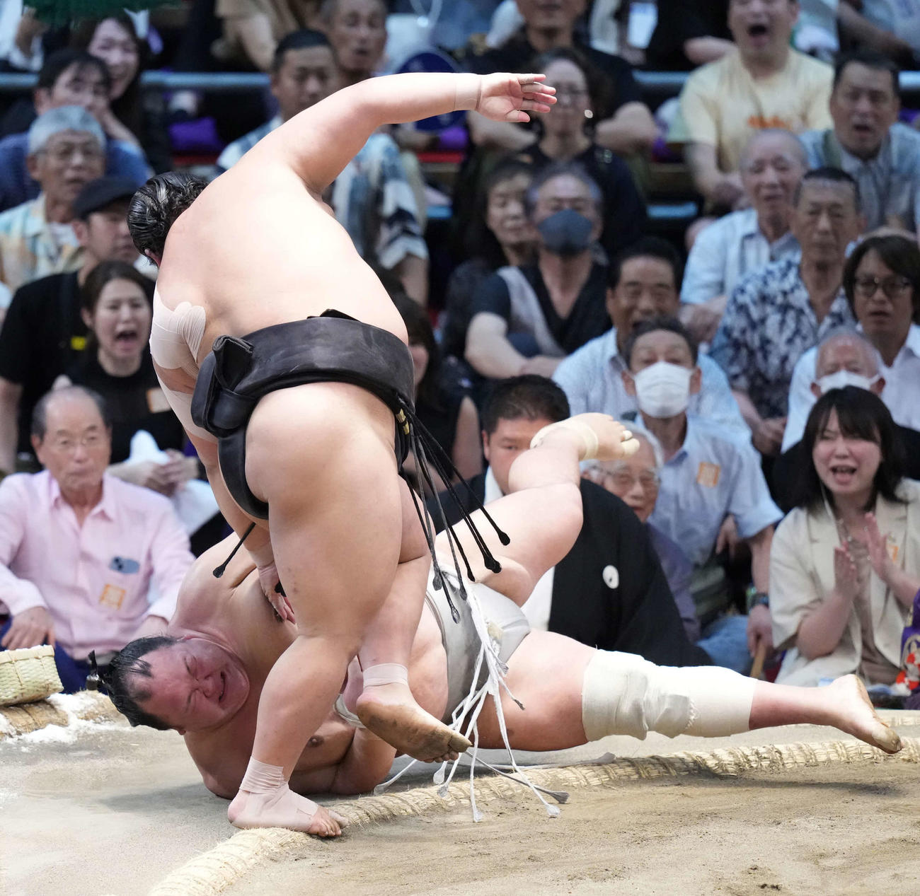 伯桜鵬（手前）は北勝富士を突き落としで破る（撮影・小沢裕）