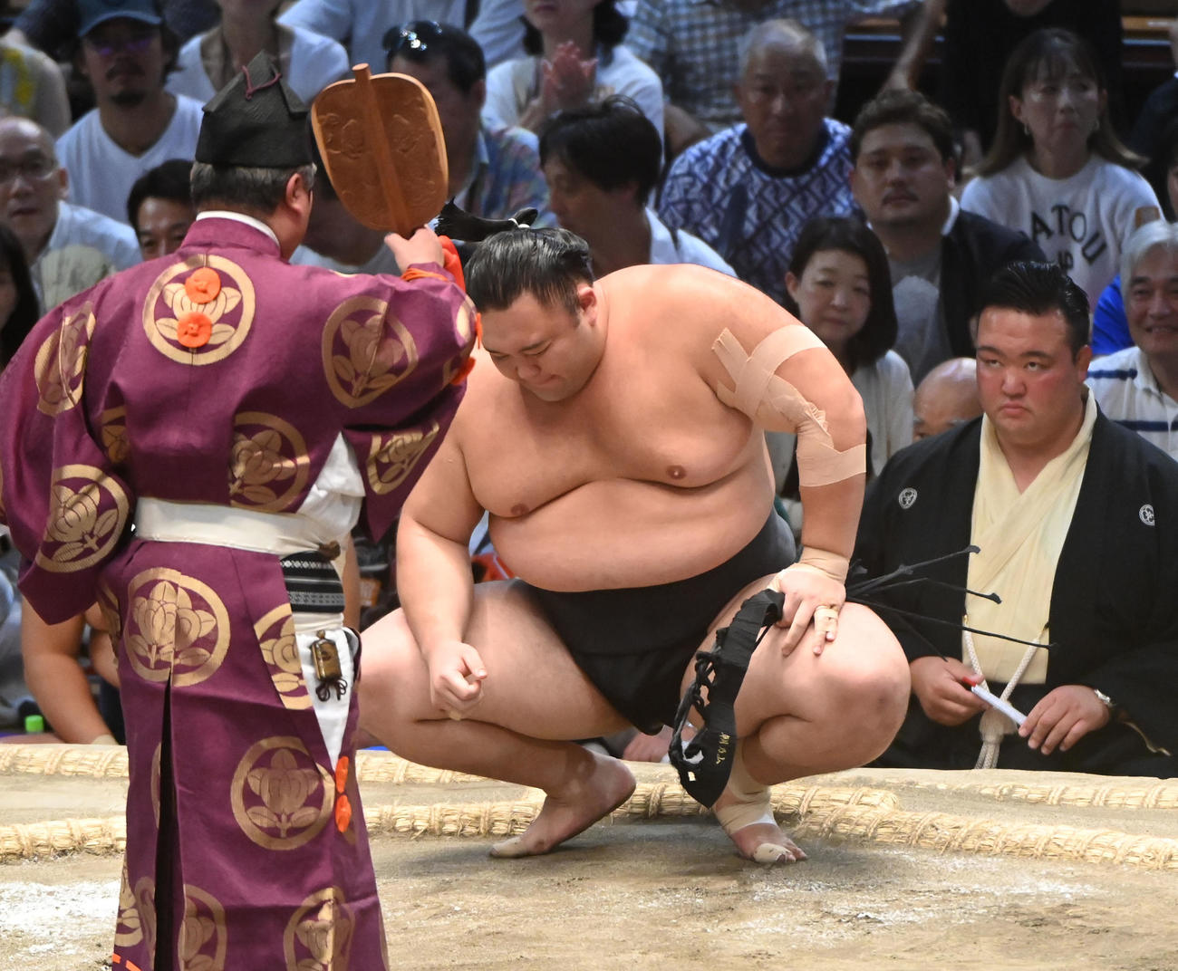 若元春を寄り切りで破り勝ち名乗りを受ける朝乃山（撮影・森本幸一）