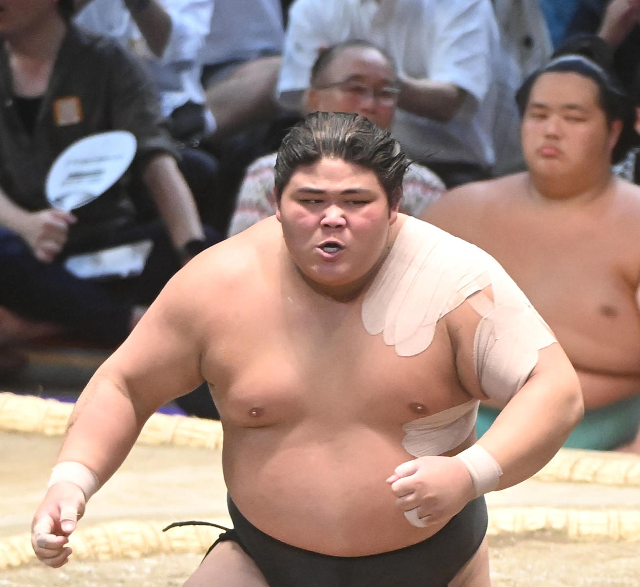 左肩にテーピングが目立つ伯桜鵬（2023年7月21日撮影）