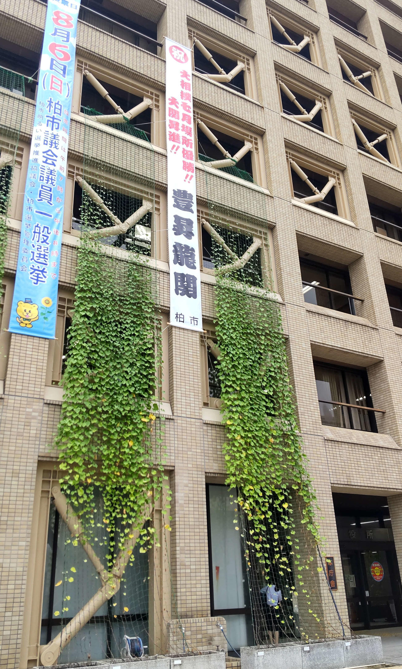 千葉・柏市役所に掲げれた豊昇龍を祝福する懸垂幕