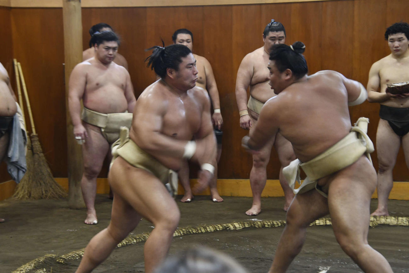 相撲を取る関脇若元春（左）と大関霧島（撮影・平山連）