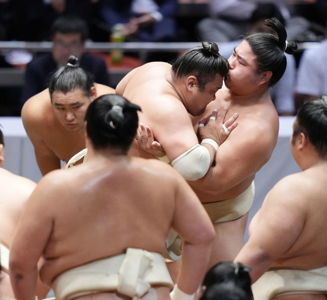 横審稽古総見で申し合い稽古をする霧島（中央）と若元春。左奥は新大関の豊昇龍（撮影・小沢裕）