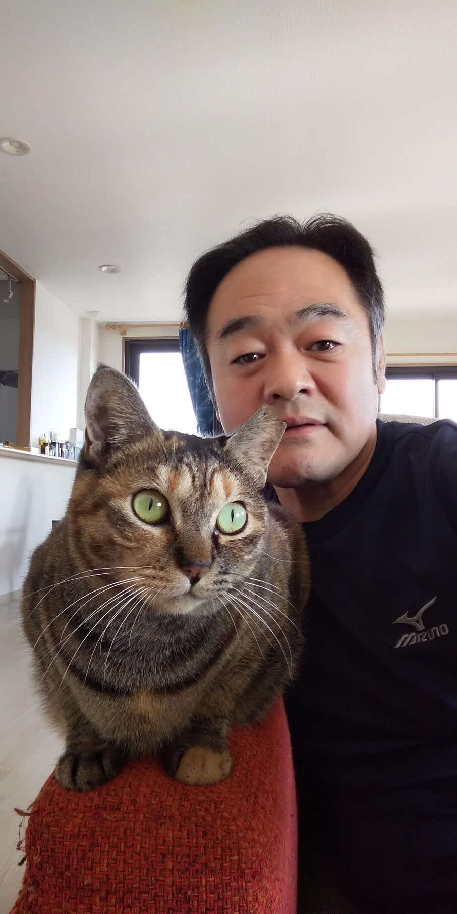 部屋で飼っている猫のみーことたわむれる朝日山親方（朝日山部屋提供）