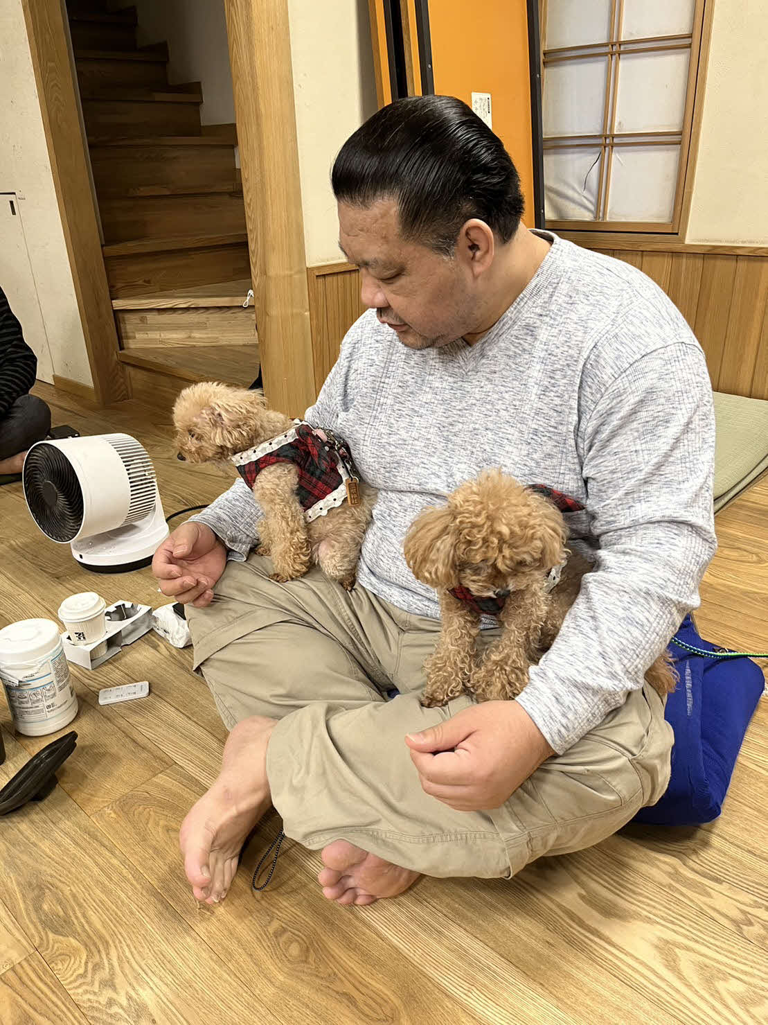 シェビー（左）とフォードとたわむれる浅香山親方（浅香山親方提供）