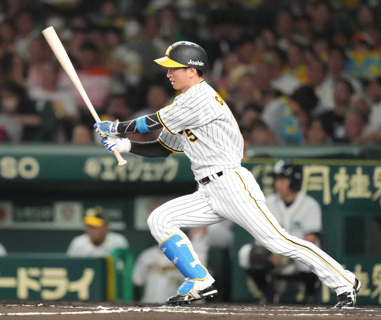 阪神対巨人　6回裏阪神無死、右前打を放つ近本（撮影・狩俣裕三）