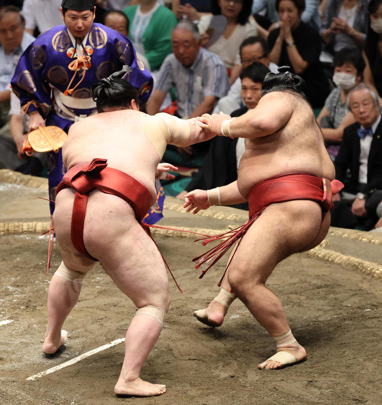 高安（右）を押し倒しで破る熱海富士（撮影・野上伸悟）