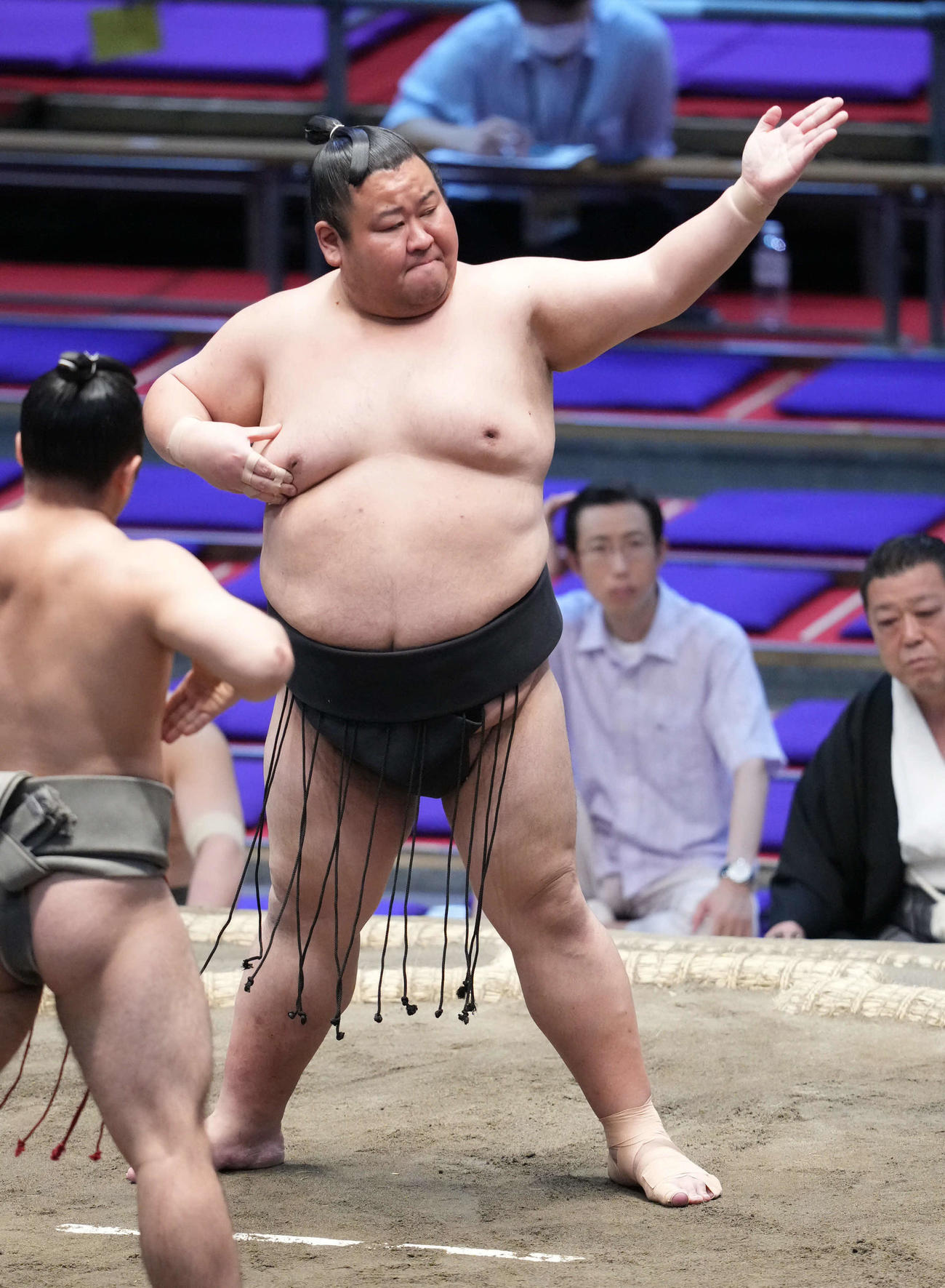 樹龍（2023年7月19日撮影）