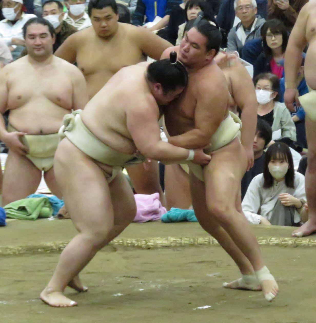 王鵬（手前左）と三番稽古を行った豊昇龍