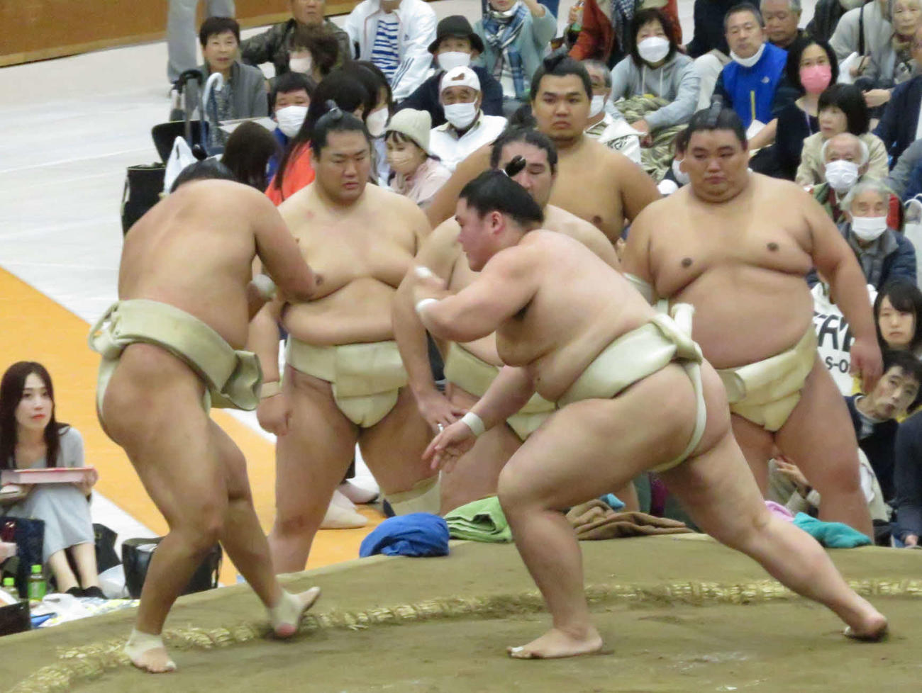 豊昇龍（手前左）と三番稽古を行った王鵬