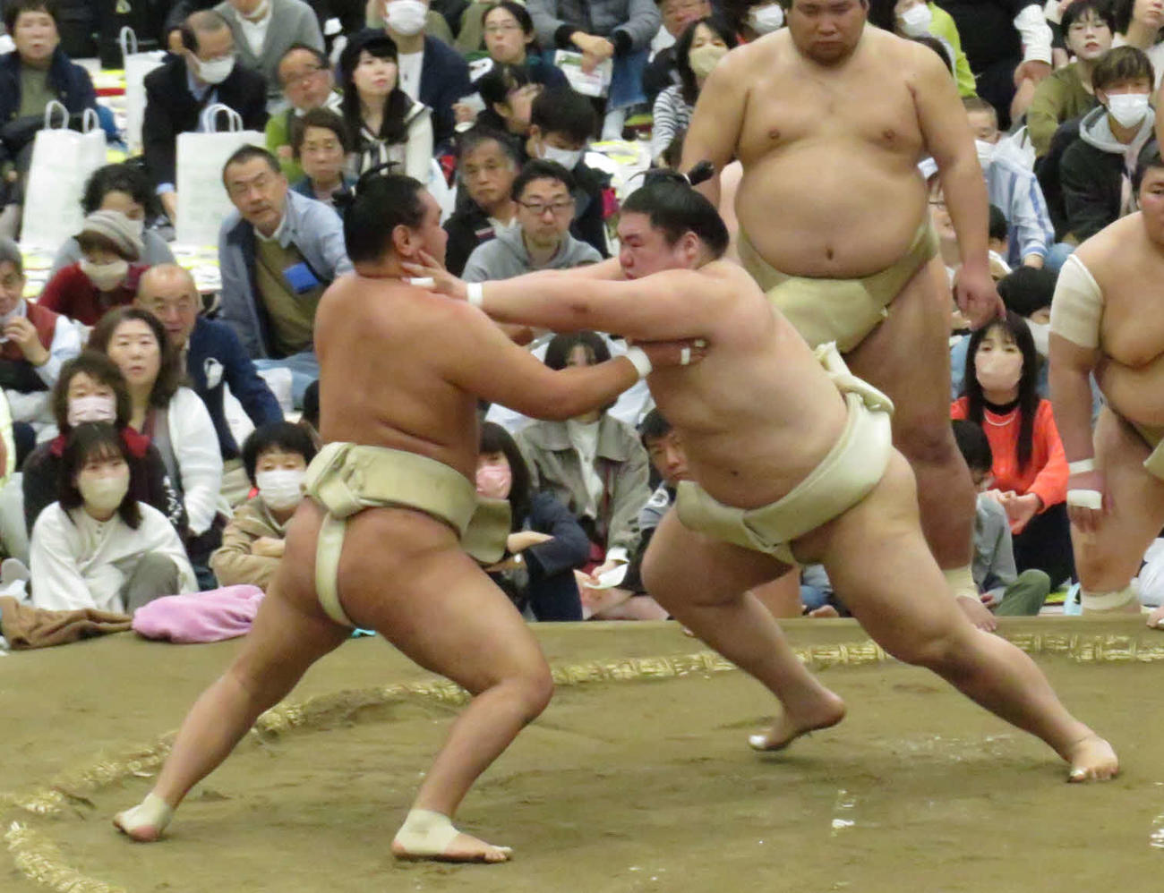 豊昇龍（手前左）と三番稽古を行った王鵬