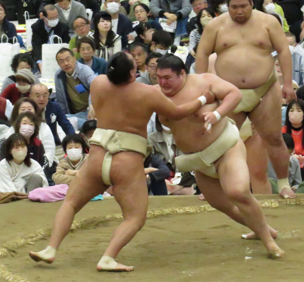 豊昇龍（手前左）と三番稽古を行った王鵬