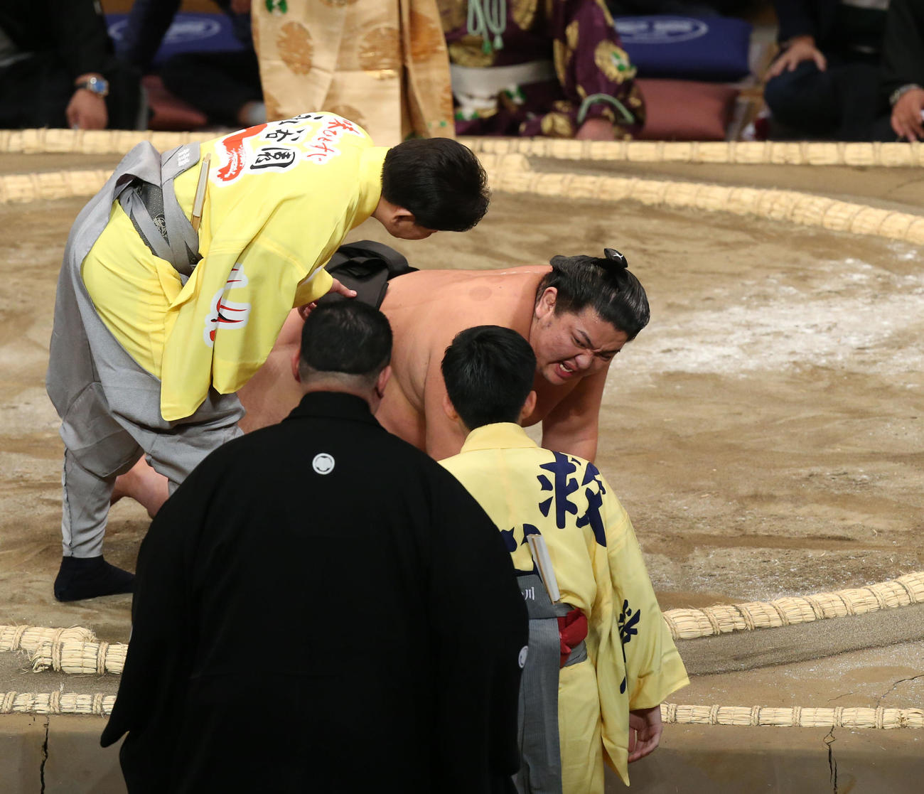 大相撲九州場所　2日目　天空海との取り組みで負傷した日翔志（撮影・冨田成美）＝2023年11月13日、福岡投げ国際センター