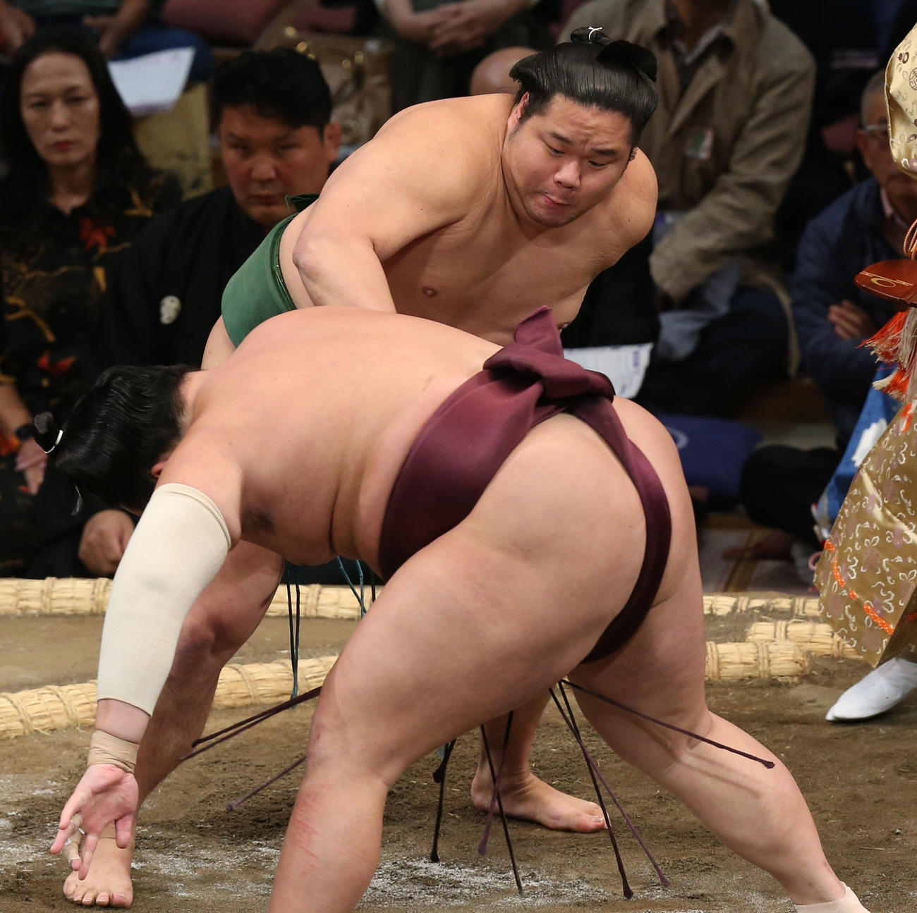 錦富士（手前）を送り出しで破る東白龍