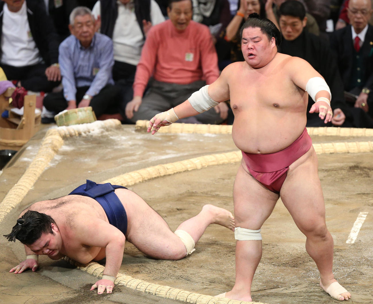 大栄翔（右）は引き落としで豪ノ山を破る（撮影・冨田成美）