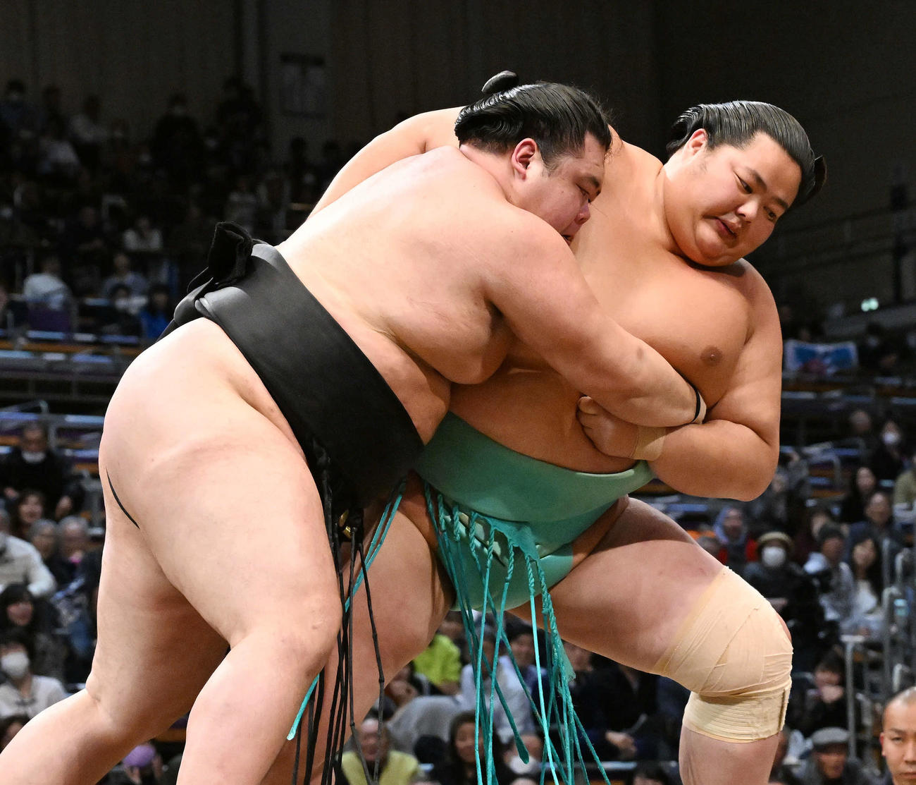 琴ノ若（右）は明生を攻める（撮影・滝沢徹郎）